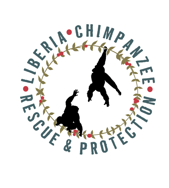liberia chimpanzee rescue protection : liberia chimpanzee rescue protection